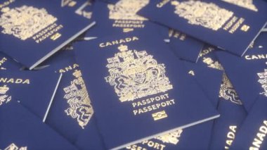 Kanada pasaportları. Kanada göçmenlik, vatandaşlık, seyahat ve turizm kavramı.