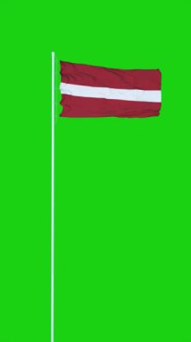 Letonya bayrağı yeşil ekran arka planında rüzgarda dalgalanıyor. Dikey video.