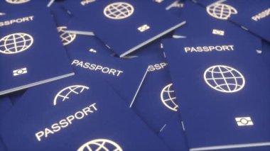 Uluslararası gerçekçi pasaportlar. Göçmenlik, vatandaşlık, seyahat ve turizm kavramı.