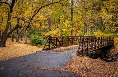 Bloomington, Minnesota 'daki Nine Mile Deresi üzerinde sonbaharda yürüyen köprü..