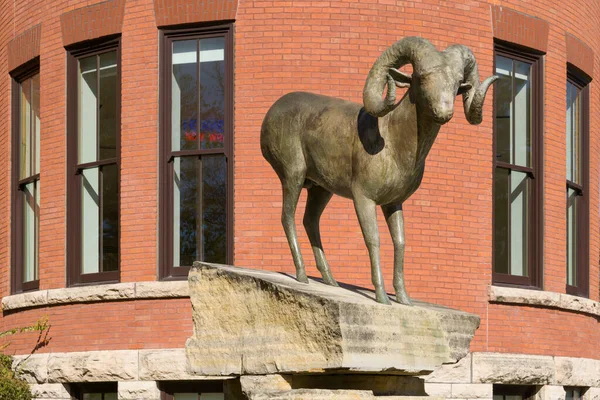 Ames Usa November 2022 Big Horn Får Skulptur Nær Morrill - Stock-foto