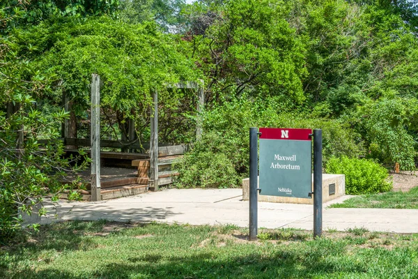 Lincoln Usa Juni 2023 Maxwell Arboretum Vid Universitetet Nebraska — Stockfoto
