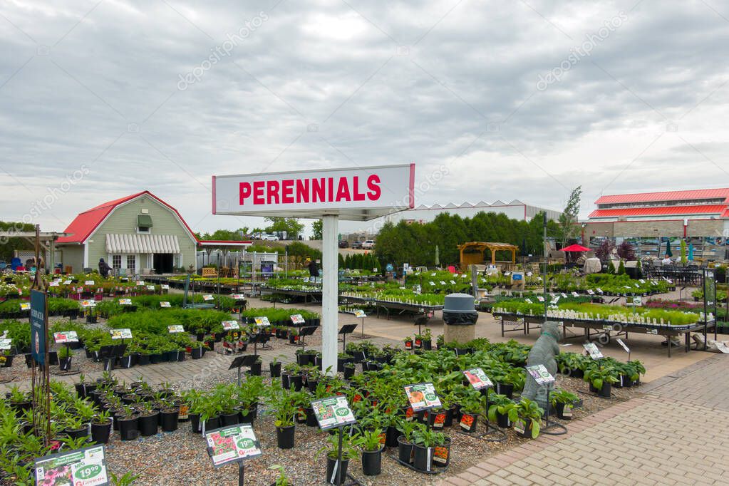 INVER GROVE HEIGHTS, MN, USA, MAY 19, 2025: Rows of perennial plants at Gertens Greenhouses and Garden Center.