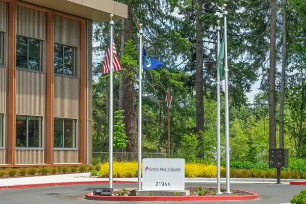 BOTHELL, WA, ABD, 25 Mayıs 2025: Bristol-Myers Squibb dış tabela ve ticari marka logosu.
