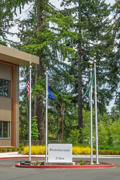 BOTHELL, WA, ABD, 25 Mayıs 2025: Bristol-Myers Squibb dış tabela ve ticari marka logosu.