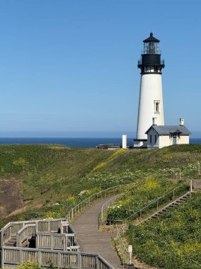 Oregon merkez sahilindeki Yaquina Baş Feneri..
