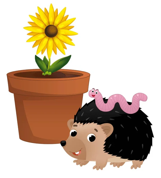 Cartoon Scene Clay Traditional Pot Flowers Hedgehog Worm Isolated Illustration — Stock Photo, Image