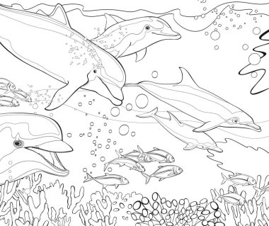 cartoon scene with coral reef animals underwater illustration for children