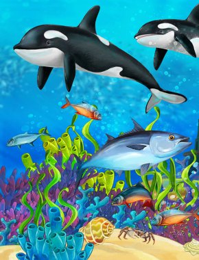 cartoon scene with coral reef animals underwater illustration for children