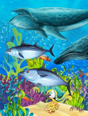 cartoon scene with coral reef animals underwater illustration for children
