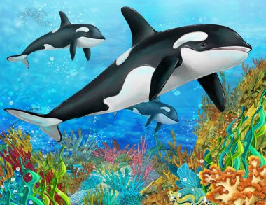 cartoon scene with coral reef animals underwater illustration for children