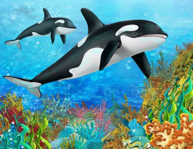 cartoon scene with coral reef animals underwater illustration for children