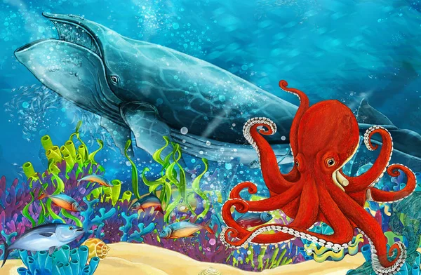 Kreslený Scény Velryba Chobotnice Nedaleko Korálový Útes Ilustrace Pro Děti — Stock fotografie