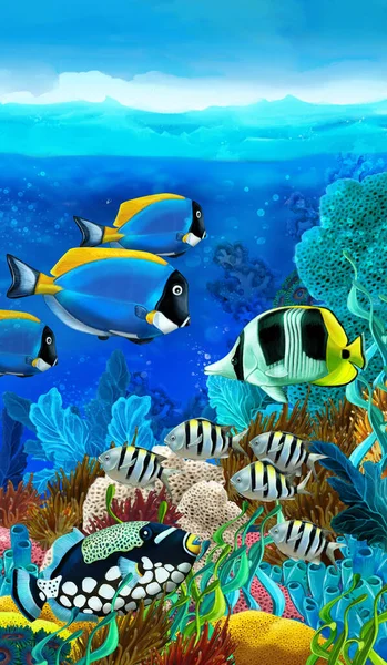 cartoon scene with coral reef animals underwater illustration for children
