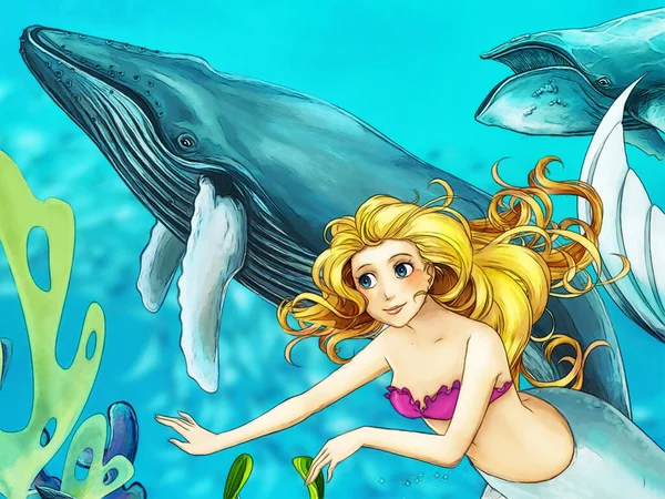 cartoon scene with coral reef animals underwater with swimming mermaid illustration for children