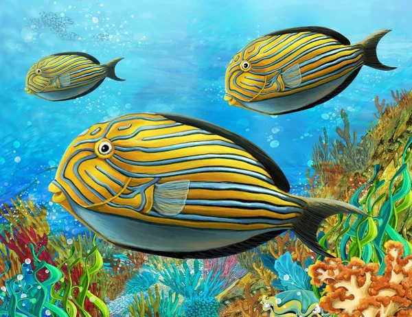 cartoon scene with coral reef animals underwater illustration for children