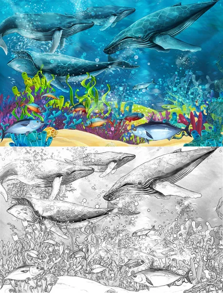 Cartoon Scene Whale Coral Reef Illustration Children — Stock Photo, Image