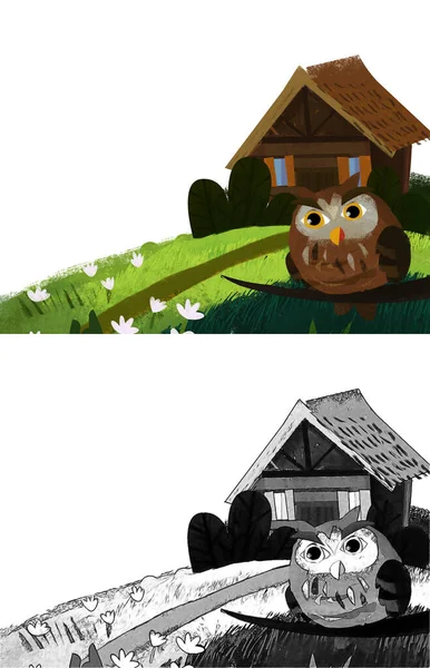 Cartoon Scene Owl Bird Meadow Wooden House Illustration Children — Stock Photo, Image