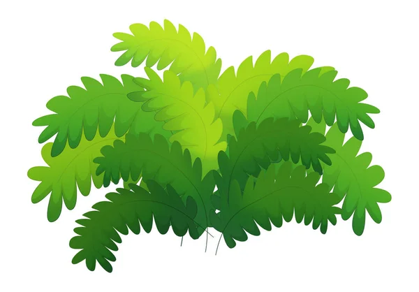 cartoon nature element bushes and grass isolated illustration
