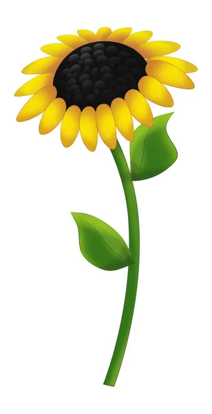 Cartoon Scene Nature Plant Sunflower Isolated Illustration — Stock Photo, Image