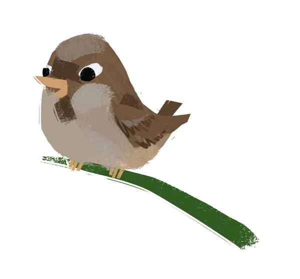 Dibujos Animados Animal Pájaro Robin Sobre Fondo Blanco Ilustración Para — Foto de Stock