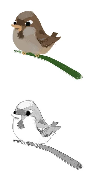 儿童素描白色背景图上的卡通动物鸟类知更鸟 — 图库照片