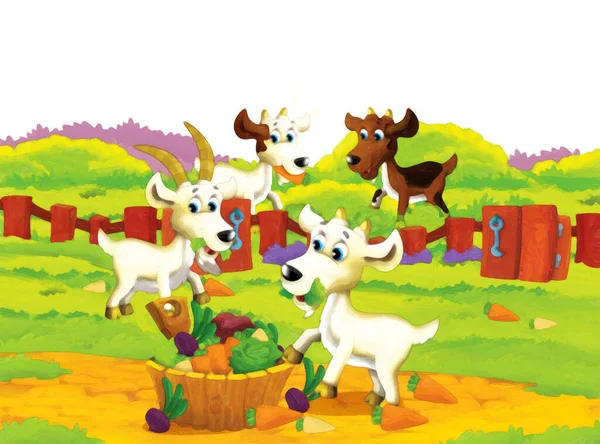 Cartoon Bauernhofszene Mit Ziegen Die Spaß Auf Weißem Hintergrund Haben — Stockfoto