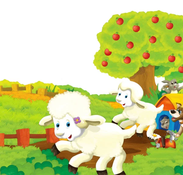 Cena Dos Desenhos Animados Com Ovelhas Divertindo Fazenda Fundo Branco — Fotografia de Stock