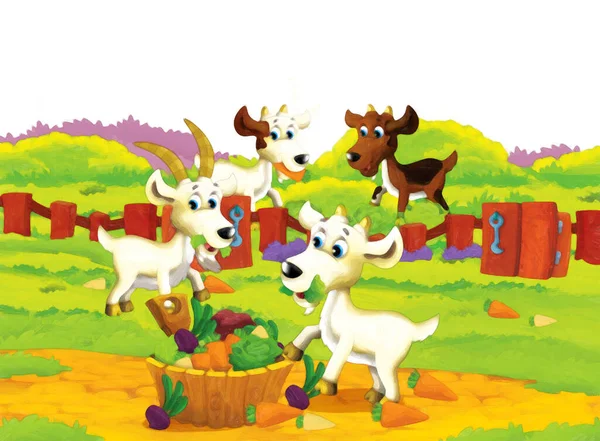 Cartoon Farma Scéna Zvířecí Kozou Baví Bílém Pozadí Ilustrace Pro — Stock fotografie