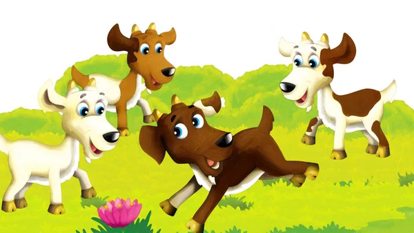 Cartoon Bauernhofszene Mit Ziegen Die Spaß Auf Weißem Hintergrund Haben — Stockfoto