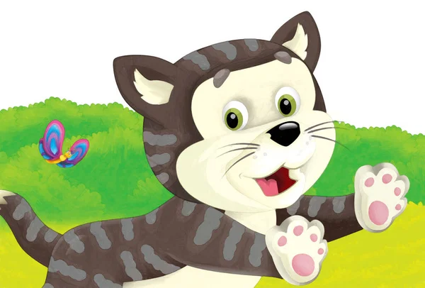 以白色背景的猫在农场玩乐的卡通片 儿童艺术绘画风格图解 — 图库照片