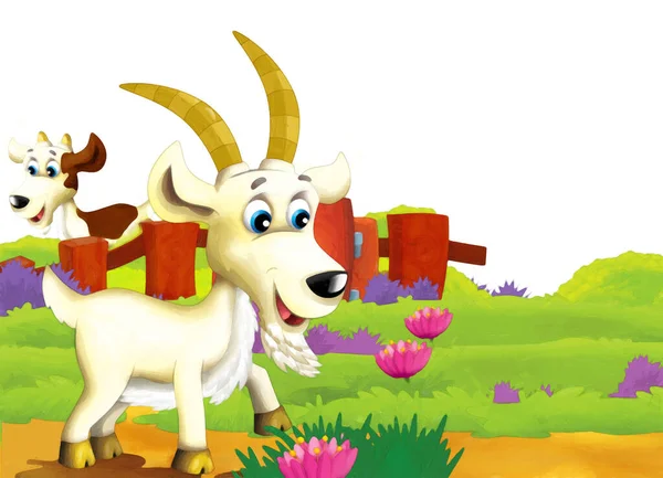 以白色背景的动物山羊为乐的卡通农场场景 儿童图解 — 图库照片