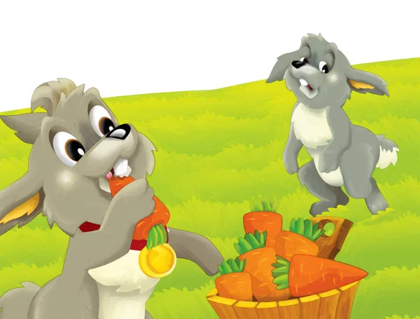 农场里兔子在白色背景上玩耍的卡通场景 儿童艺术绘画风格的图解 — 图库照片