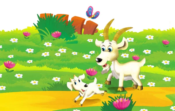Cena Fazenda Desenhos Animados Com Cabra Animal Divertindo Fundo Branco — Fotografia de Stock