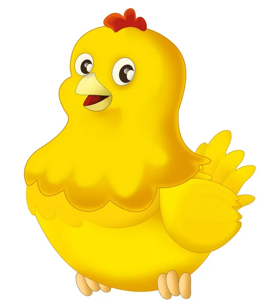 Cartoon happy bird chicken hen rooster isolated illustration for kids