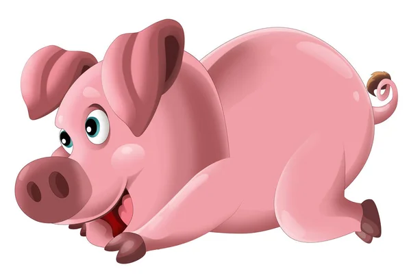 Cartoon happy pig is standing looking and smiling on white background illustration for kids artistic painting scene