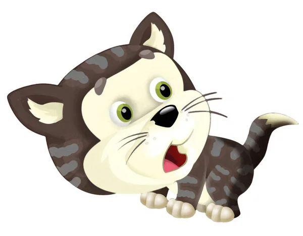 Tecknad Scen Med Glad Katt Gör Något Spela Isolerad Illustration — Stockfoto