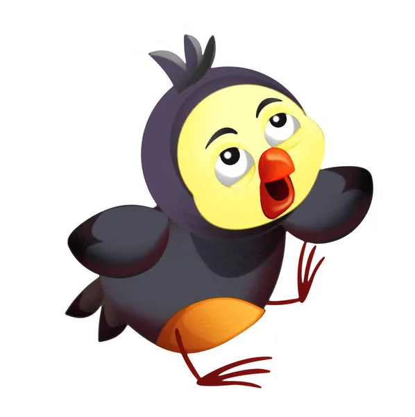 Cartoon colorful bird flying doing funny emotions isolated illustration for kids artistic painting scene