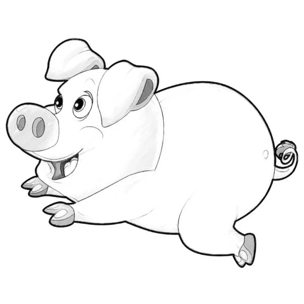sketch cartoon scene with happy farm pig smiling illustration for kids