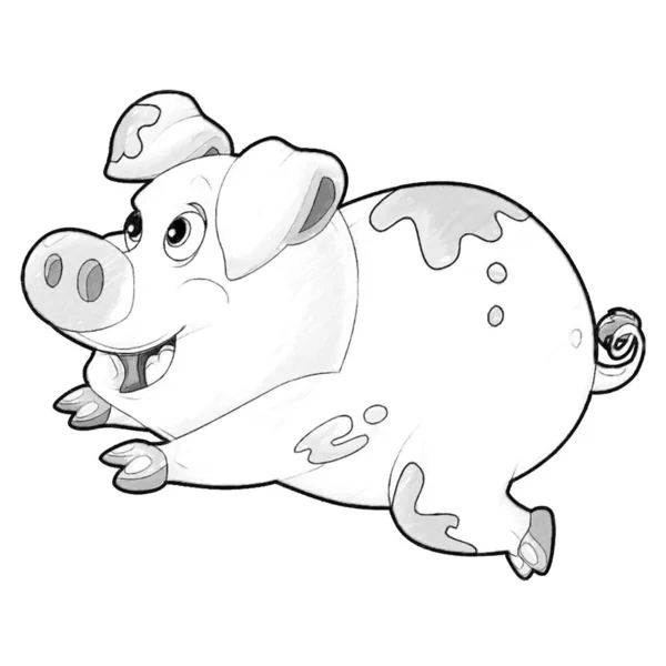 sketch cartoon scene with happy farm pig smiling illustration for kids