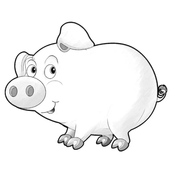 Sketch Cartoon Szene Mit Glücklichen Bauernhof Schwein Lächelnde Illustration Für — Stockfoto