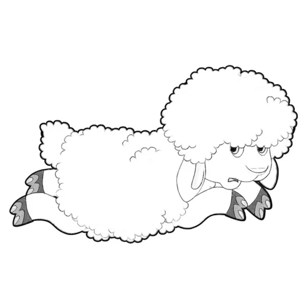 小品卡通片 带有滑稽的农场羊的笑脸 给孩子们看 — 图库照片