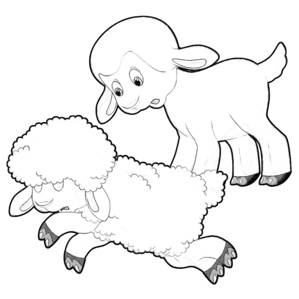 Schizzo Cartoon Scena Con Divertente Alla Ricerca Fattoria Pecore Sorridente — Foto Stock