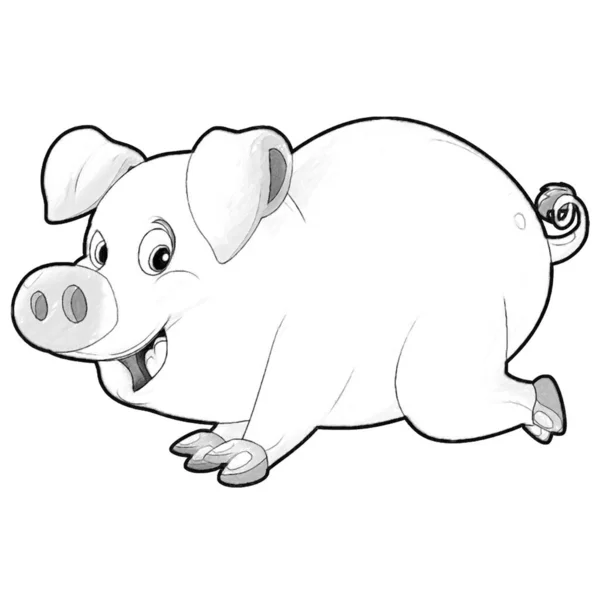 Esboço Cena Dos Desenhos Animados Com Feliz Fazenda Porco Sorridente — Fotografia de Stock