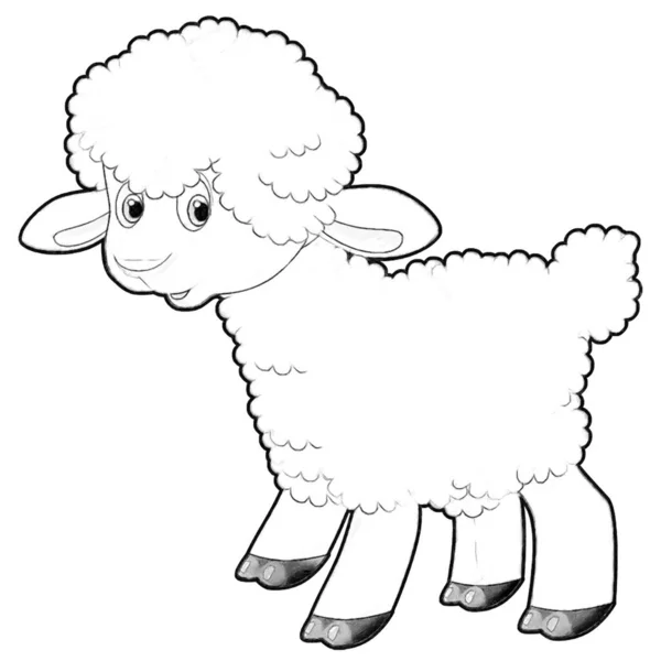 Skica Kreslený Scéna Legrační Vypadající Farma Ovce Usmívající Ilustrace Pro — Stock fotografie