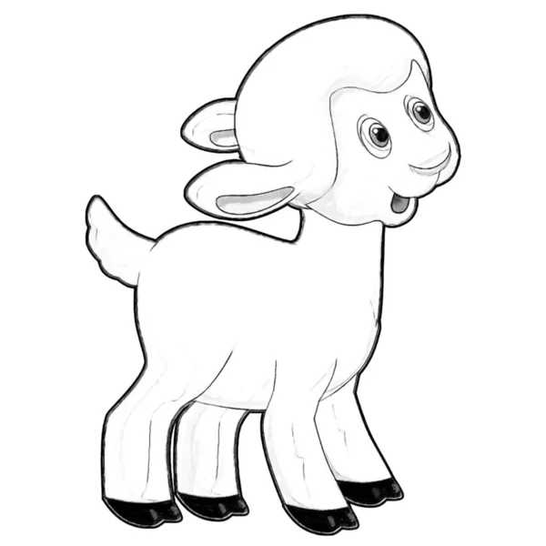 Esboço Cena Dos Desenhos Animados Com Engraçado Olhando Fazenda Ovelhas — Fotografia de Stock