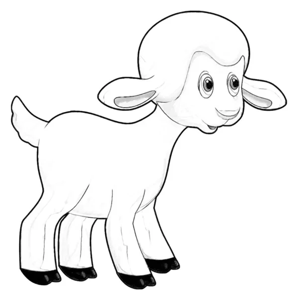 Komik Görünüşlü Çiftlik Koyunlarının Çocuklar Için Gülümsediği Karikatür Sahnesi — Stok fotoğraf