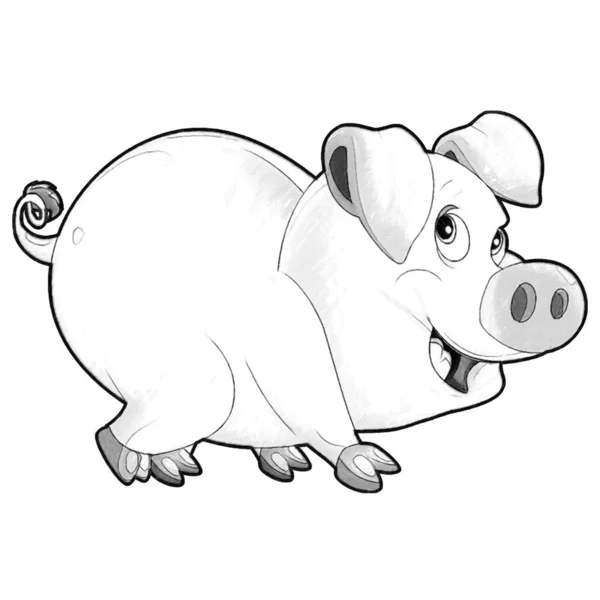 Esboço Cena Dos Desenhos Animados Com Feliz Fazenda Porco Sorridente — Fotografia de Stock