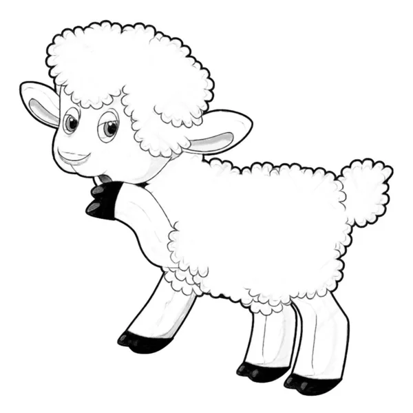 Croquis Scène Dessin Animé Avec Drôle Regardant Ferme Moutons Sourire — Photo