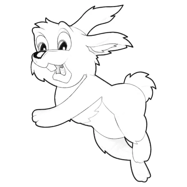 sketch cartoon rabbit farm animal isolated illustration for kids